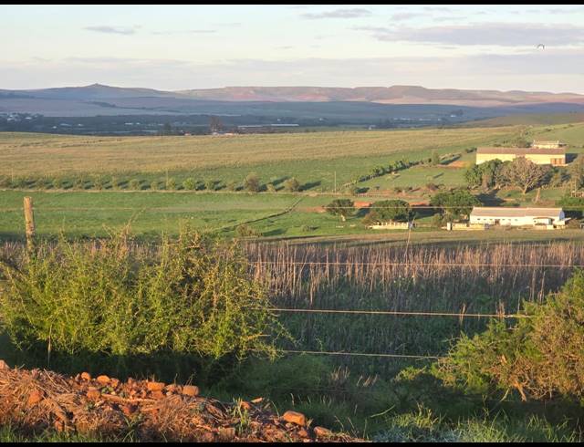 539HA FARM FOR SALE IN RIVERSDALE RURAL